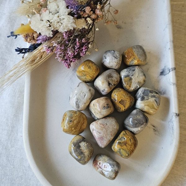 Agate « A » en dentelle folle polie