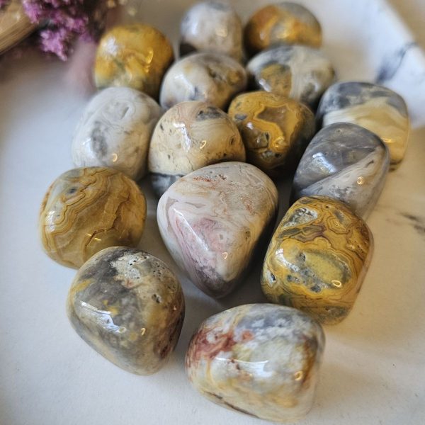 Agate « A » en dentelle folle polie – Image 2